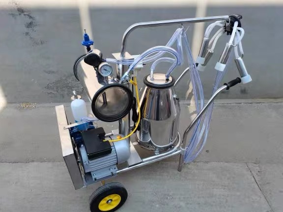 How to Choose the Best Milking Machine for Cows: A Complete Buying Guide