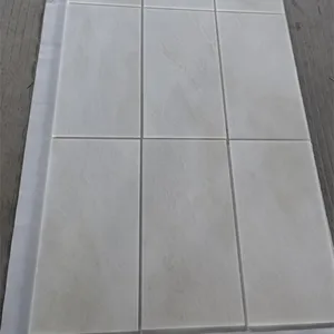 金顶OEM/ODM天然石材60*60客厅室内装饰纯白色大理石地砖