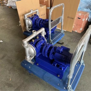 Electric Diaphragm Pump <b>Trolley</b> 220V 380V Stainless Steel PP <b>Plastic</b> Cast Iron Aluminum Alloy Customizable Styles Sewage Pump - Product Image 1