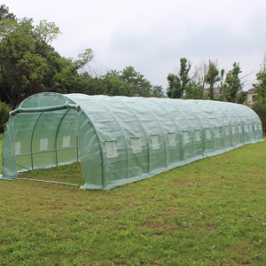 2017 <span class=keywords><strong>Tunnel</strong></span> de tomate de maison verte de haute qualité avec cadre en métal facilement assemblé et type de bois naturel traité sous pression - Product Image 3
