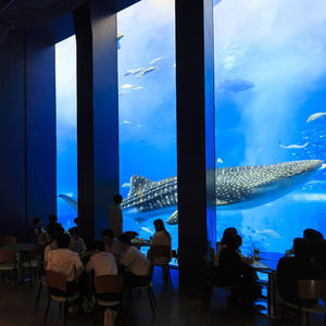 투명한 50-700mm 제조자 큰 크기 두꺼운 바다 바닷물 수족관 디자인 및 구조 어항 수족관 - Product Image 3