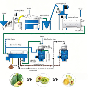 Chaîne complète de production d'huile d'olive <span class=keywords><strong>extra</strong></span> vierge et d'huile d'avocat 2000 kg/h, du lavage à la centrifugation - Product Image 6