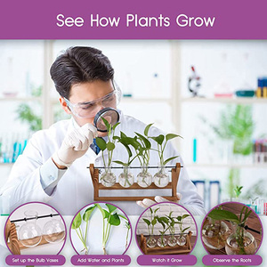 Wholesale Plant Terrarium With 3 Bulb Vase Wooden <b>Stand</b> Desktop Propagation Stations for Hydroponic Plants Home Garden Decor - Product Image 4