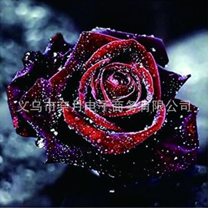Kit de Pintura de Diamantes 5D Personalizado Y-Z024, Regalo de Cumpleaños, Flores, Taladro Completo, Kit de Pintura de Arte de Diamantes Redondos 5D - Product Image 4