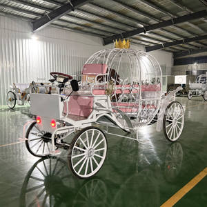 Kereta Kuda Mewah Berbagai Warna, Kereta Listrik, Kereta Kuda, Buatan China - Product Image 6