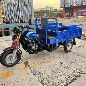 ราคาโรงงาน รถสามล้อบรรทุกน้ำมันเบนซินแบบเปิดประทุนสำหรับผู้ใหญ่ พร้อมฟังก์ชั่นยกเทสินค้าด้วยตัวเอง - Product Image 2