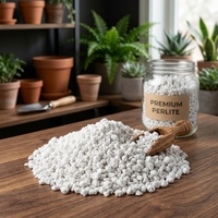 Perlite blanche de qualité horticole, agrégat léger pour l'amélioration du sol de jardinage et support de culture