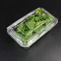 Boîte écologique de récipient à clapet pour les légumes boîte d'emballage de laitue fraîche emballage à clapet rectangulaire pour les verts micro
