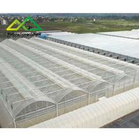 Gotische Tuinbouwkas Kit |   Grote enkellaagse multispan commerciële constructie voor de teelt van hoogproductieve groenten en bessen