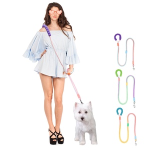 Correa de perro de doble capa antipérdida con correa cruzada ajustable y mango de espuma espacial, correa de seguridad reflectante de nailon duradero para mascotas - Product Image 1