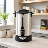 Distributeur d'eau chaude 30L en acier inoxydable, chauffe-eau électrique avec contrôle de température et fonction maintien au chaud