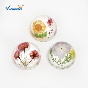 Spécimen de fleur emboîté dans de la résine hémisphérique de 47 mm, ornement de fleur séchée, cadeau exquis, fabricant de spécimens. - Product Image 1