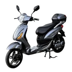 CE ha approvato la Vendita Calda Scooter Elettrico 2 Ruote Motociclo Elettrico per Gli Adulti con Pedali 48V500W Motore e di Vuoto Pneumatici