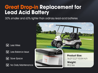 Baterai Golf Cart Temgo Long Range 48V 100Ah LiFePO4 dengan Casing Logam, BMS 300A, Bluetooth, dan Charger LCD untuk EZGO, Club Car, Yamaha