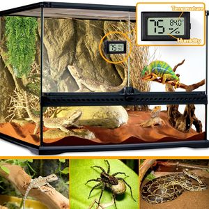Termometro e Igrometro Rettangolare per Rettili in Plastica Ecologica per Draghi Barbuti, Ragni Saltatori, Gechi Leopardati, Granchi Eremiti - Product Image 2