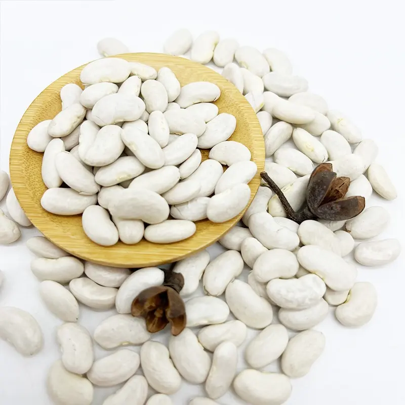 白インゲン豆卸売新作物売れ筋天然白インゲン白インゲン豆輸出