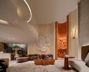 Nội thất phòng khách biệt thự sang trọng hiện đại đặt phong cách Mỹ với ghế <span class=keywords><strong>sofa</strong></span> đầu giường và ghế ngai vàng cho nội thất nhà thanh lịch - Product Image 6