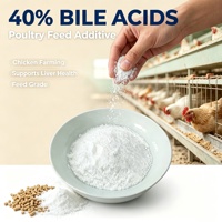 Acide Biliaire en Gros (40%) – Additif Alimentaire Optimisant la Digestion des Graisses et Favorisant la Santé des Volailles pour l'Élevage Commercial de Poulets