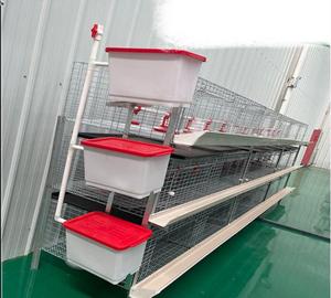 Sistema de Gaiolas de Bateria Automático para Aves Direto da Fábrica Tipo H, Aviário de Aço para Frangos de Corte e Poedeiras, Condição Novo/Usado - Product Image 4