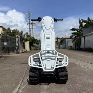 Dominación Imparable: el ATV/ETV Todoterreno de 72V con Autonomía de 50-70 km, Sistema de Transmisión por Cadena de 72V y Batería de Litio - Product Image 3