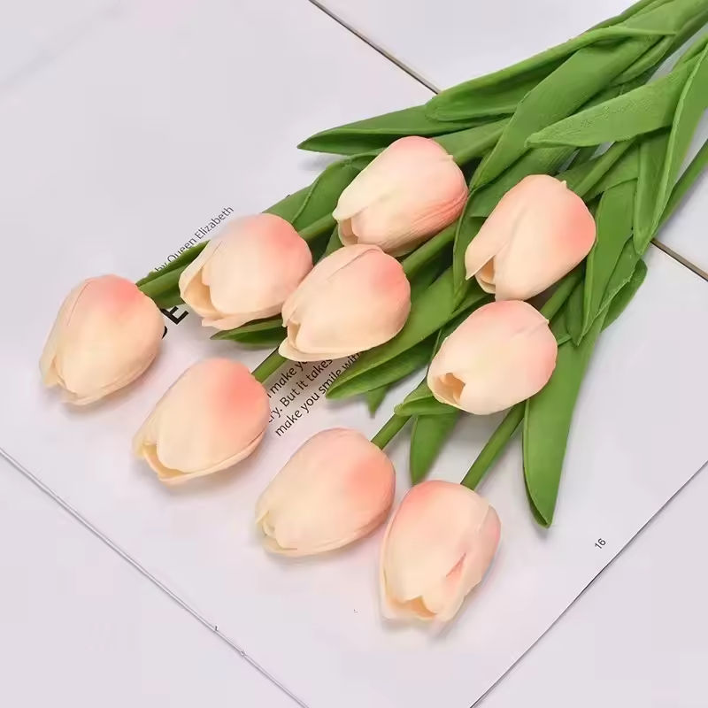 สีชมพูอ่อน