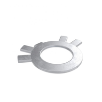 Custom Steel Stainless Steel Anti Loosening Fastener Special Lock Washer
