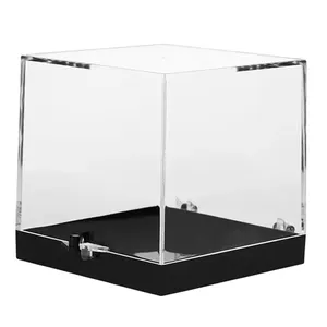Clear Plastic Box Rectangular Insect Specimen Display Box Storage Organizer  Case
