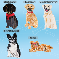 Pince à cheveux personnalisée en acétate, collection chiens, style tendance, boîte surprise, modèles Labrador et Teckel, pour cadeaux de filles