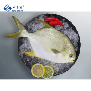 Pesce Congelato Intero Pomfretto Dorato Congelato - Product Image 2