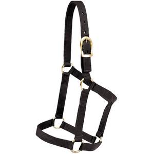 Durable Horse Halter With Reinforced Construction For Long Term Equestrian Use And Performance - Product Image 3