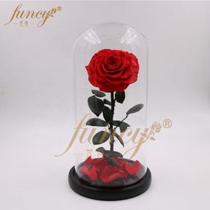 Set regalo di rosa incantata nuova bellezza conservata e la bestia rosa per San Valentino - Product Image 4