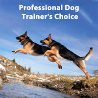2026 NEUES Hochwertiges Hundetrainings-Schockhalsband IPX7 Wasserdicht TPU Umweltfreundlich 4921FT 1500M Fernbedienung für die Jagd