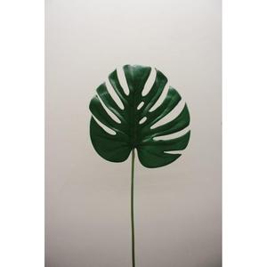 FOGLIA SPLIT PHILO SOTTILE 60CM GR - Product Image 1