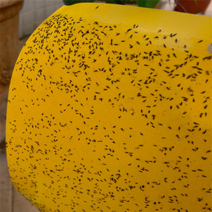 Trampa para mosquitos de doble cara de 12 x 10 pulgadas |   Atrapa Insectos a Prueba de Polvo y Agua con Cubierta de Papel Encerado para Monitoreo de Plagas en Invernaderos - Product Image 6