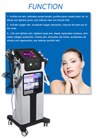 Appareil de nettoyage de la peau par microdermabrasion 10 en 1, jet d'oxygène facial, peeling aqua, soins du visage hydratants pour usage commercial