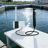 Capteur d'oxygène dissous numérique LoRaWAN RS485 4-20mA, sonde de fluorescence, compteur de qualité de l'eau d'aquarium, capteur DO pour l'aquaculture