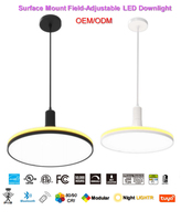 Plafonnier LED encastré BANQCN, éclairage LED pour chambre à coucher, maison, 5/7/9/12 pouces, CCT dimmable