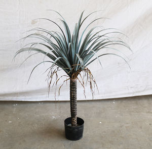 AF7004ราคา<span class=keywords><strong>ถูก</strong></span>ตกแต่งพลาสติกในร่มพืชเทียมต้นไม้กระถางมังกร<span class=keywords><strong>ต้นไม้</strong></span>พืชสำหรับตกแต่งบ้าน - Product Image 3