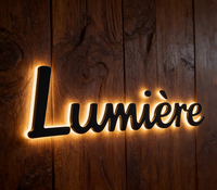 Letrero Comercial con Logotipo Personalizado, Letras de Canal 3D de Acero Inoxidable Pulido con Retroiluminación LED, Montaje en Pared para Publicidad de Salón de Belleza