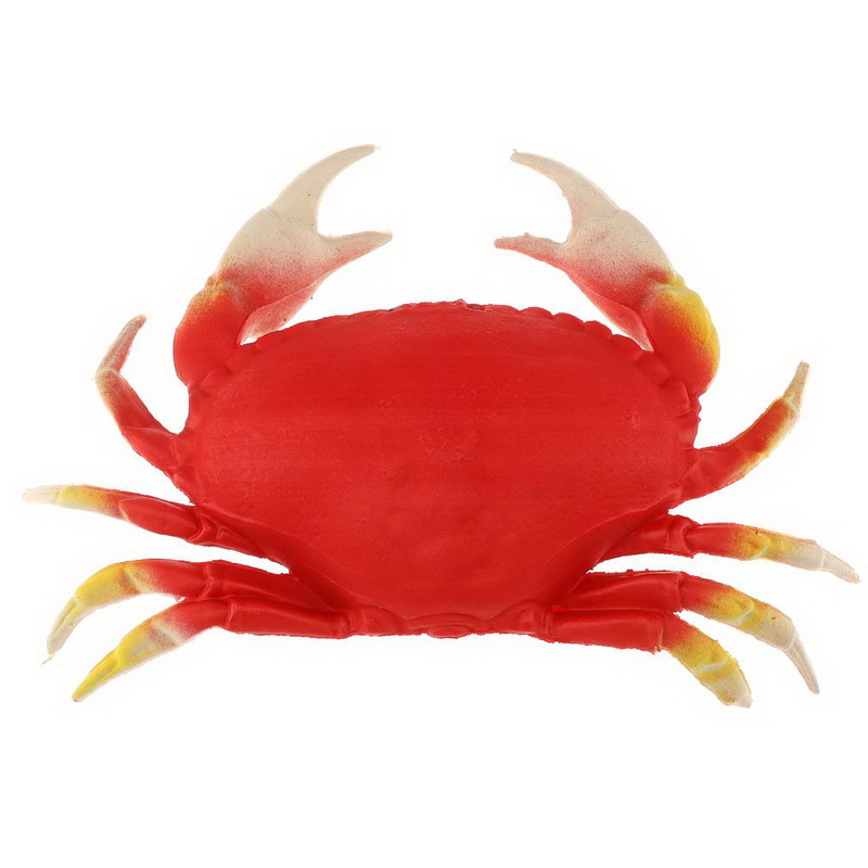 Granchio da 31 cm-Animale-004