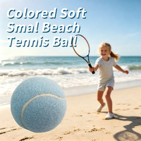 Balle de tennis de plage orange personnalisable pour enfants et débutants - Jouet pour animaux de compagnie durable, écologique et très élastique