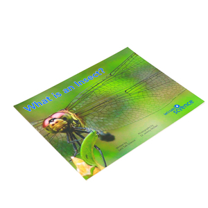 Livre éducatif pour enfants d'âge préscolaire sur le thème <span class=keywords><strong>des</strong></span> <span class=keywords><strong>insectes</strong></span>, en carton de haute qualité, pour l'apprentissage précoce - Product Image 3