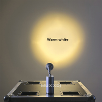 20 pièces avec étui, éclairage de scène, 10 W, zoom, éclairage LED à piles, éclairage de scène pour mariage, fête, club, avec éclairage ponctuel magnétique