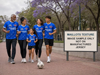 Europäische Elite-Fußballtrikot-Kollektion Maßgefertigte Fußballshirts Blanko-Trikots OEM ODM Großbestellung Lieferant