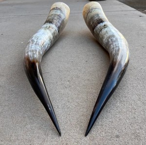 สัตว์ทะเลยาวขัดมันด้วยมือของแท้เป็นมิตรกับสิ่งแวดล้อมสำหรับตกแต่งบ้านของขวัญแต่งงานไม่เหมือนใครลวดลายธรรมชาติที่เป็นเอกลักษณ์ - Product Image 1