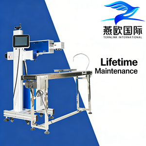 Máquina de Grabado Láser de 50W, Máquina de Marcado Láser CO2 para Pulseras, Máquina de Codificación Láser de Venta Directa de Fábrica - Product Image 3