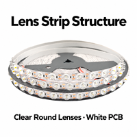 Bande LED 24V 2835 avec lentille, 48 LED par mètre, 19W par mètre, options monochromes pour projets d'éclairage intérieur