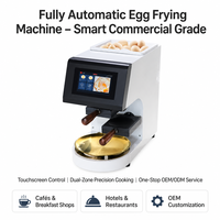 Friteuse à œufs électrique automatique professionnelle en acier inoxydable à induction pour restaurants et hôtels, machine à omelettes, stockage d'œufs