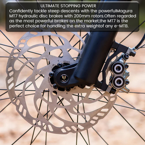 Vélo de montagne électrique à suspension intégrale avec <span class=keywords><strong>moteur</strong></span> <span class=keywords><strong>Bosch</strong></span>, débattement de 150/140 mm, 29 pouces, EMTB, assistance électrique, pour la randonnée - Product Image 2
