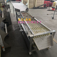Automatische kersen sorteermachine / Kersen sorteermachine op trackbasis